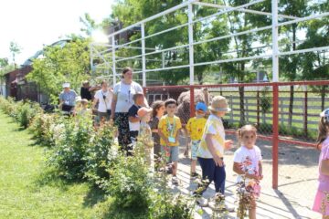 Ateliere pentru copii, la Ferma Udești. Cei mici hrănesc animale, culeg fructe, adună ouă și se joacă în natură
