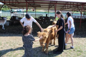 Ateliere pentru copii, la Ferma Udești. Cei mici hrănesc animale, culeg fructe, adună ouă și se joacă în natură