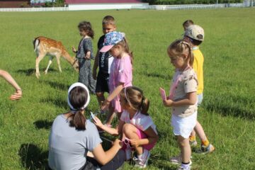 Ateliere pentru copii, la Ferma Udești. Cei mici hrănesc animale, culeg fructe, adună ouă și se joacă în natură