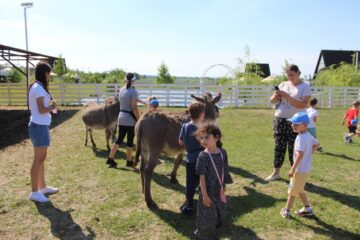 Ateliere pentru copii, la Ferma Udești. Cei mici hrănesc animale, culeg fructe, adună ouă și se joacă în natură
