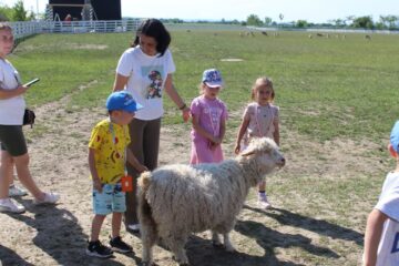 Ateliere pentru copii, la Ferma Udești. Cei mici hrănesc animale, culeg fructe, adună ouă și se joacă în natură
