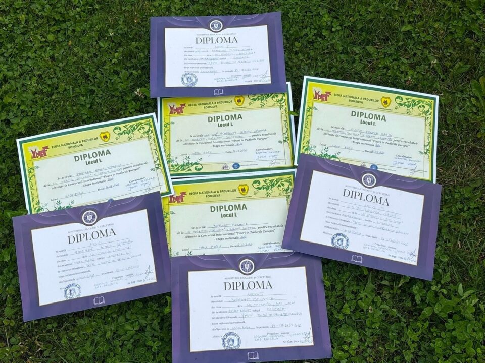 Locul I pentru Suceava la concursul de educație forestieră „Tineri în Pădurile Europei”
