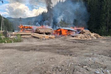 Două hale gater și zeci de metri de material lemnos au ars într-un incendiu violent Două hale gater și zeci de metri de material lemnos au ars într-un incendiu violent