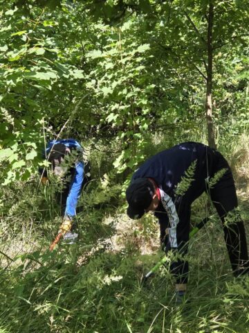 Mormânt preistoric, vechi de 5.000 de ani, scos la lumină de studenții arheologi ai USV