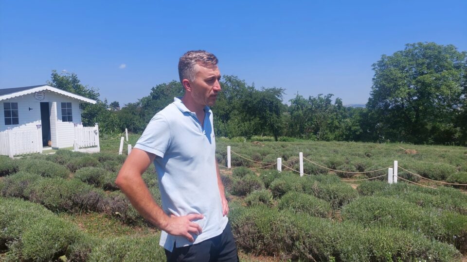 O familie cu patru copii, din Ipotești, a transformat un câmp de lavandă într-o afacere de succes