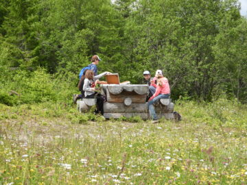 Elevi din Panaci și Dorna Arini au descoperit biodiversitatea Munților Călimani în cadrul evenimentului internațional „Youth at the Top 2026”
