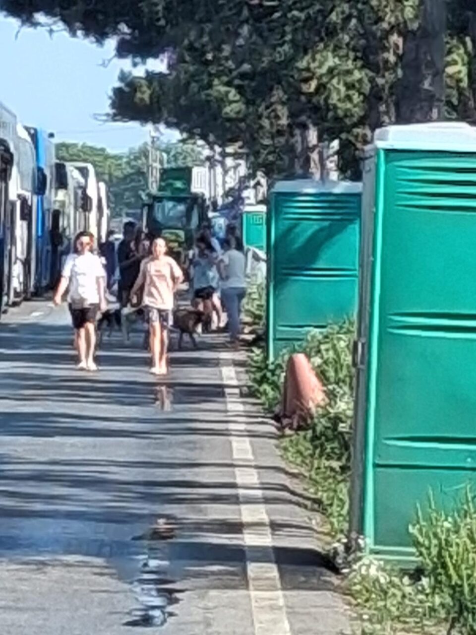 Vama Siret