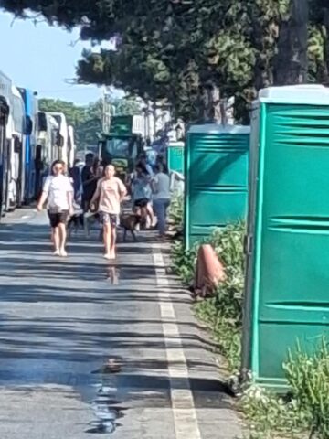 Vama Siret