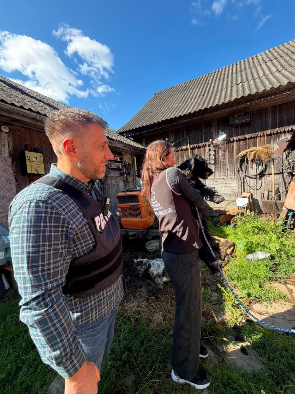 Viței și alte animale care mor de foame, după ce proprietarul a ajuns la pușcărie