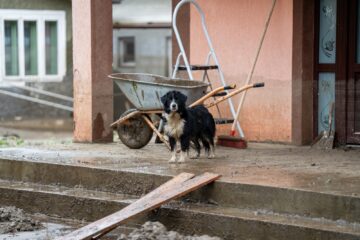La un an de la potopul din Broșteni, președintele Gheorghe Șoldan rememorează „lecția solidarității”