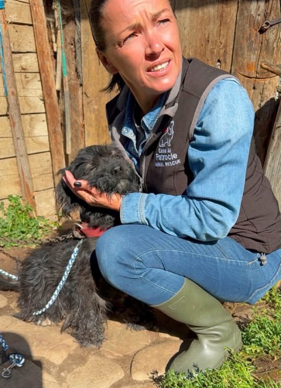 Viței și alte animale care mor de foame, după ce proprietarul a ajuns la pușcărie